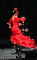 Arte Flamenco 2013 