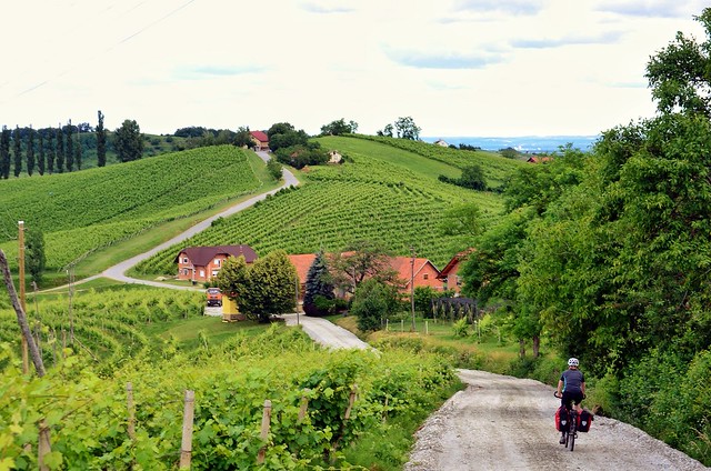 Jerusalem, Slovenia - close to Maribor with great wine and accommodations - the almost perfect bicycle travel destination; Two Wheel Travel