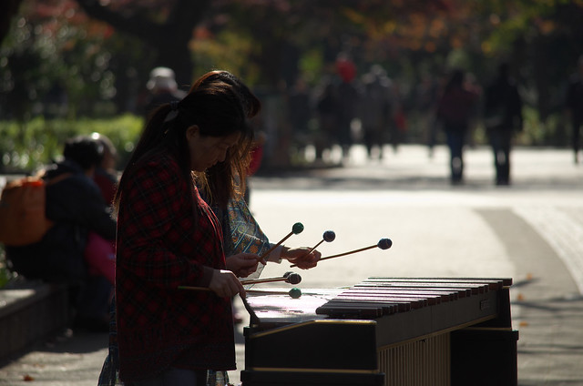 東京路地裏散歩 秋の上野公園 2013年11月24日