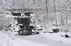 Snow @ Prospect Park 2014-02-03