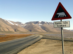 Svalbard Spitzbergen