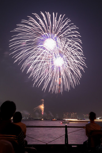 「昇分火 銀彩の花」 by 菅野忠夫 東京湾大華火 2013 Tokyo Bay Grand Fireworks