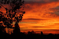 			Klaus Naujok posted a photo:	I almost missed it this morning as it only lasted for about 15 minutes. Great sunrise colors.