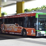 Surfside Bus Lines Gold Coast
