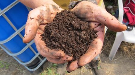 經過兩年的分解後的堆肥物已成為濕潤的深啡色泥土。圖片提供：敏芝