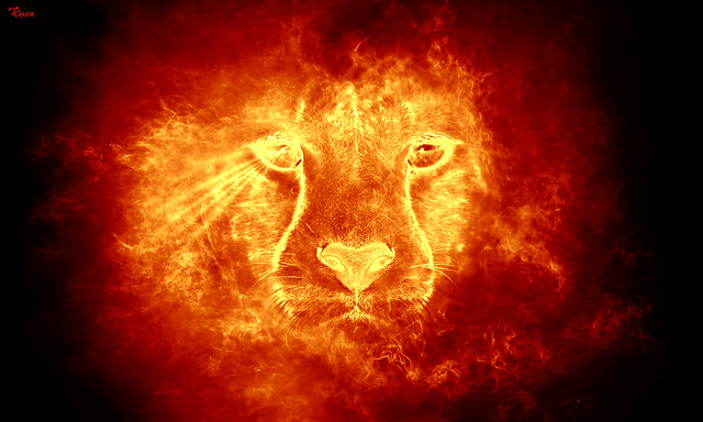 Set the lion on fire
