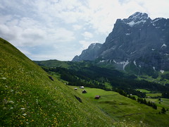 Oberland bernois