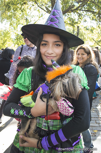Halloween Dog Costume_Witch_Princess the Yorkie