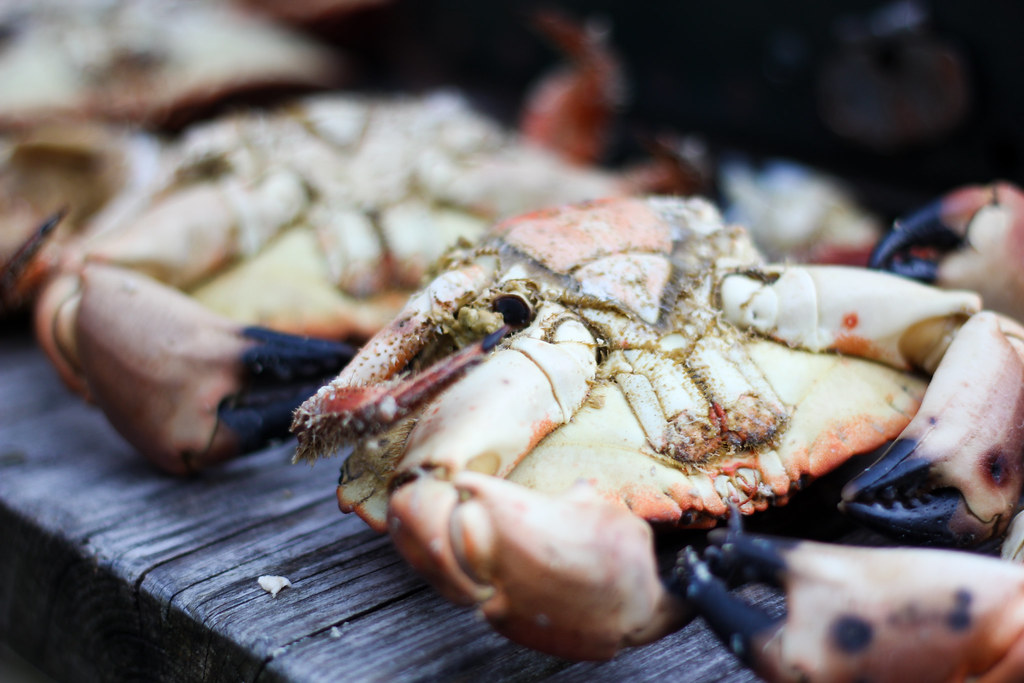 Tasty crab from Hoddevik in Norway