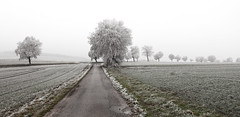 Winter in Lippe