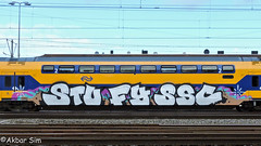 Painted Train
