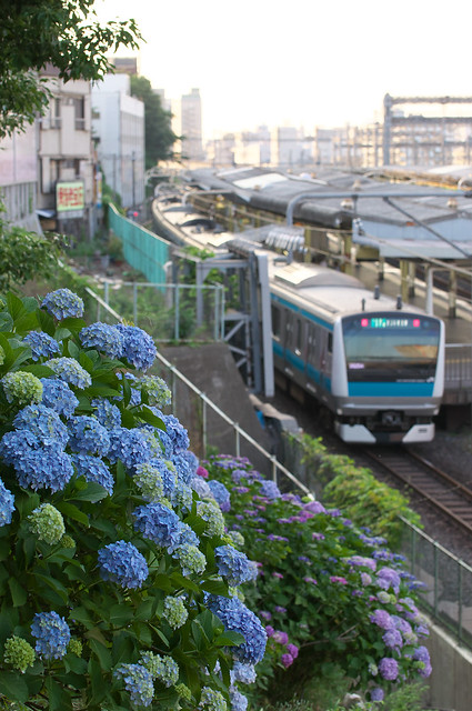 Tokyo Train Story