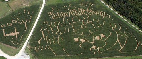 Happy Halloween Weekends corn maze