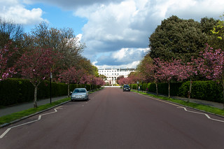 Chester Road dans le Regent's Park