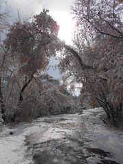 November 10, 2012 (Provo River Trail/Provo Canyon)