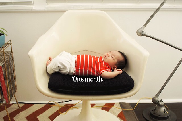 Luca_chair3_1month titled