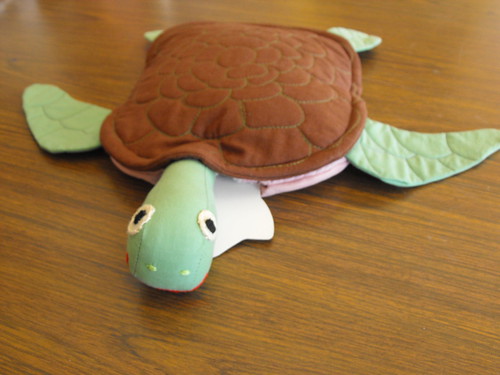 Turtle Hottie Swimming