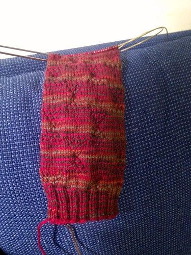 The leg of my Time in a Bottle Knit-A-Long sock