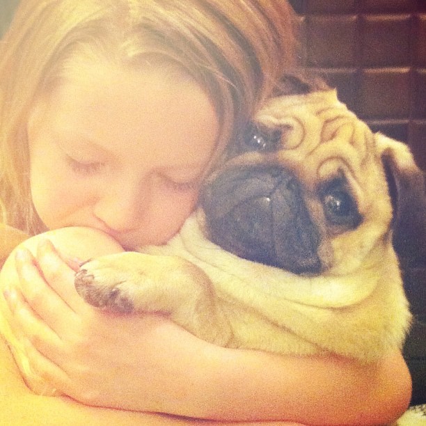 Love. #ollie_the_pug #love @mexturesapp #mexturesapp #pug #agirlandherdog #curlytailgang #hug #pugsofinstagram #fogsofinstagram #pugstagram @the_naughty_pug