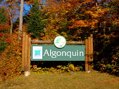 Algonquin Provincial Park, 2013