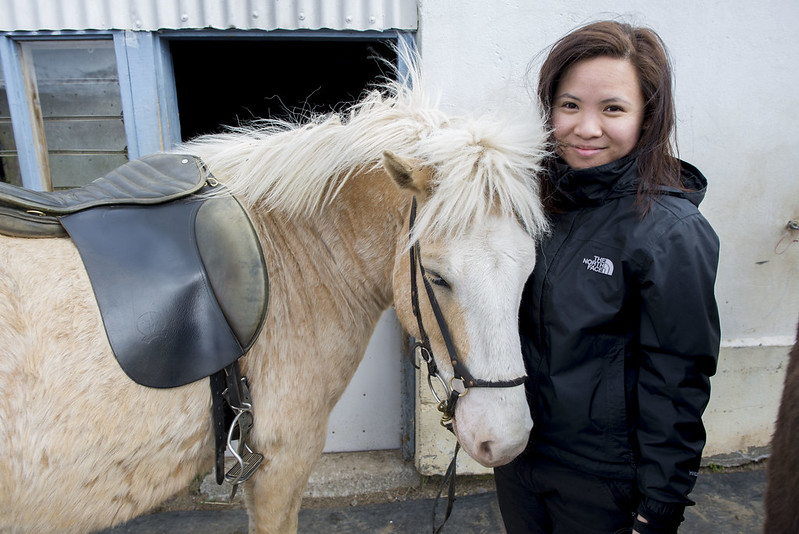 horse riding in Akureyri Iceland