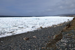 Ice on the shore