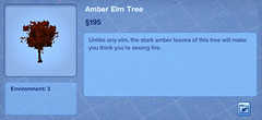 Amber Elm Tree