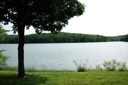 View-of-Lake