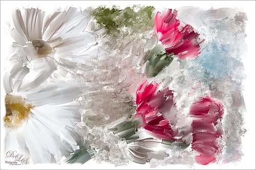 Image of Mums and Carnations painted with Corel Painer 