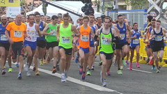 Fotos Disa Gran Canaria Maratón 2014 (Prueba de 10 Km.)