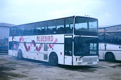 Bluebird, Hull