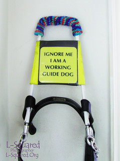 Colorful crocheted tube over the hand grip part of a guide dog harness laying against a white wall.