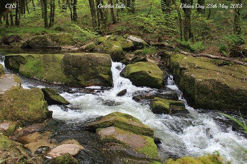 Golitha Falls by Stocker Images