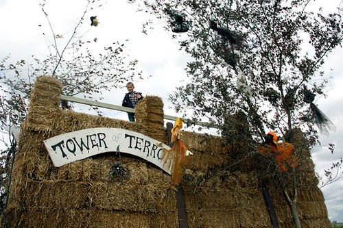 Tower-of-Terror