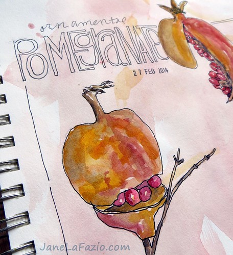 Pomegrantes ~ from my sketchbook