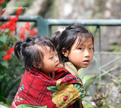 Hmong  (VIETNAM)