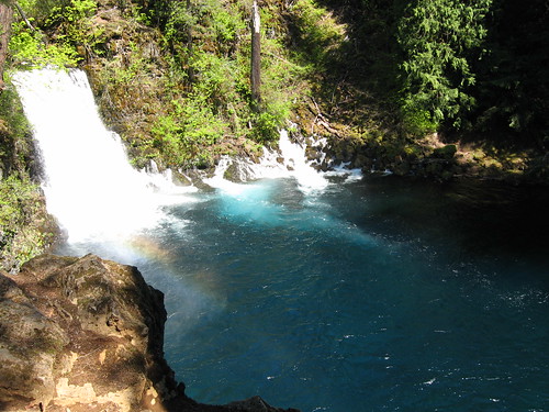 The McKenzie River at the base of Tamolitch Falls – meaning bucket in Chinook – flows during the spring runoff. Five miles downstream of Clear Lake, the falls was created when a lava flow dammed the McKenzie.  (U.S. Forest Service)