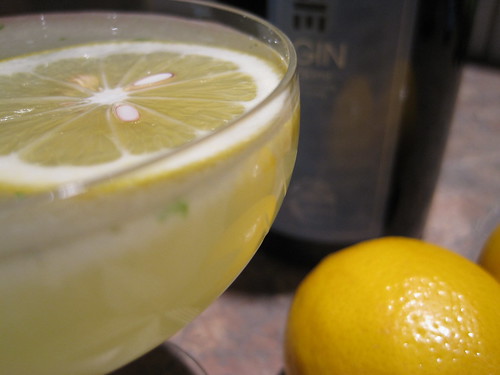 Meyer Lemon Southside