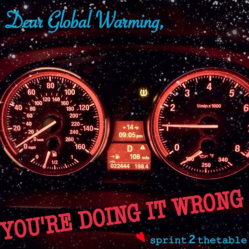 no global warming