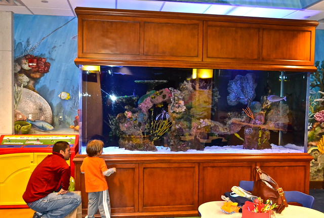The Breakers - Family Center - Aquarium