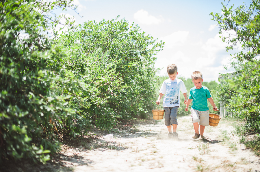 leo and max on the blueberry hills farm in edom texas july 213