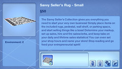 Savvy Seller's Rug - Small