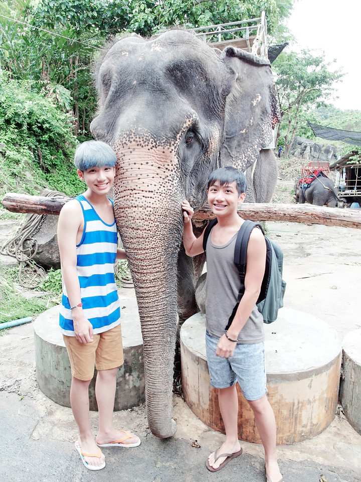 phuket elephant riding typicalben 13