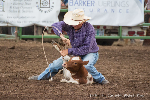Benton County Fair and Rodeo 2013-6877