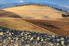 Val d'Orcia 2013