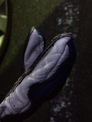 Gloves repaired