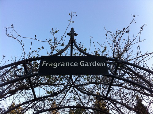 Fragrance Garden by Ayala Moriel