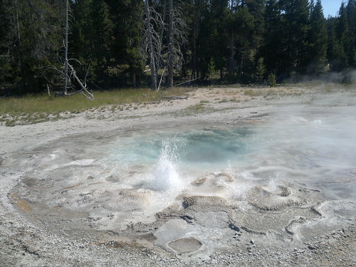 Martes Día 23 de Julio: Yellowstone (II) - 25 días por los parques nacionales del Oeste de USA: un Road Trip de 10500 kms (15)
