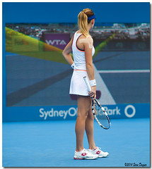 Sydney International Tennis 2014