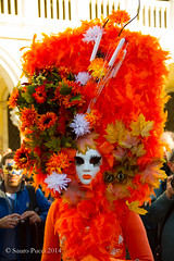 Venezia Carnevale 2014